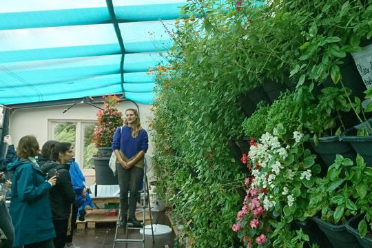 Ceuvel Greenhouse